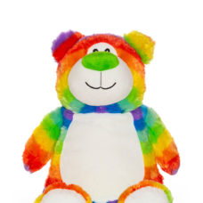 Rainbow-Bear-Product-Cubbies 1