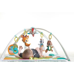 Tiny Love Gymini Delux Playmat Into The Forest